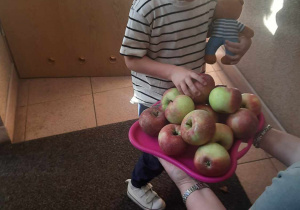 Leon częstuje się jabłkiem