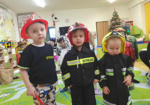 nasi strażacy - Miesio, Olus i Oluś