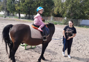 W gospodarstwie "Stajnia u Kowala"