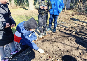 praca w ogródku