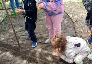 prace na działce