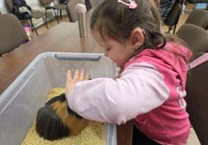 Wycieczka do zoo.