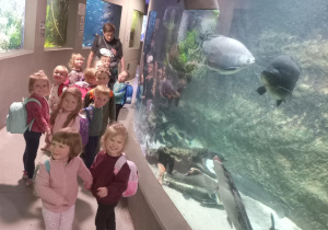 Wycieczka do zoo.