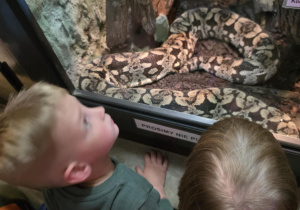 Wycieczka do zoo.