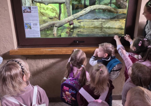 Wycieczka do zoo.