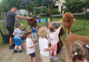 Dzień Dziecka z Alpakami