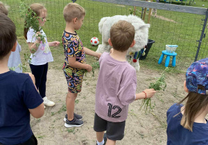 Dzień dziecka w towarzystwie alpak