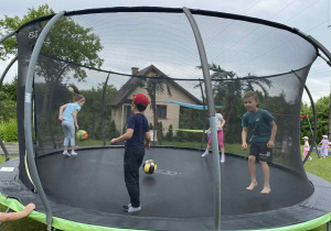 Dzień dziecka w towarzystwie alpak