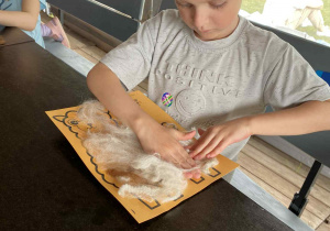Dzień dziecka w towarzystwie alpak