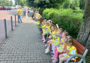 Biedronki na lodach...