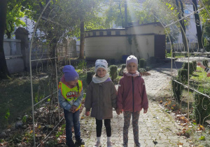 Zdjęcie 7 na 13