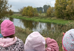 Zdjęcie 2 na 73