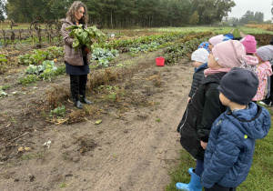 Zdjęcie 3 na 73