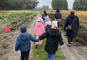 Zdjęcie 21 na 73
