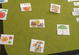 dopasowujemy karty do napisów