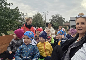 W Sielankowie