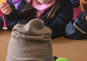 W Sielankowie