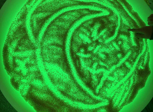 Koordynacje poprzez kolor, dotyk, światło, dźwięk.