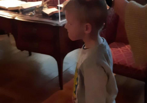 Wycieczka do Nieborowa