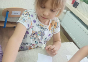 robimy magiczne grzyby