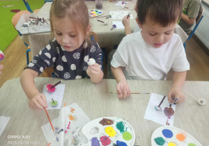 robimy magiczne grzyby