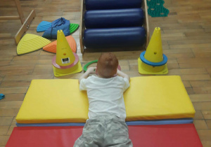 Integracja sensoryczna