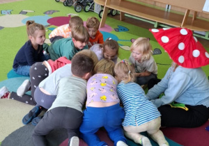 Muchomorek u Motylek.