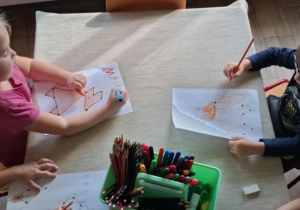 Stokrotki i ich lisy.