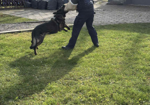 Spotkanie z policjantem