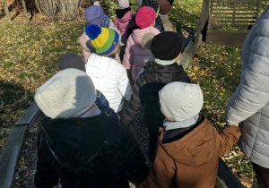 Jesienne zabawy w ogrodzie