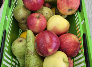 Soki, napoje, koktaile - witaminki dla chłopczyka i dziewczynki