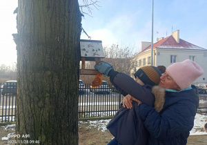 Dzieci wsypują ziarenka do karmników