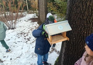 Dzieci wsypują ziarenka do karmników