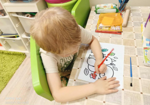 stemplujemy wiewiórkę