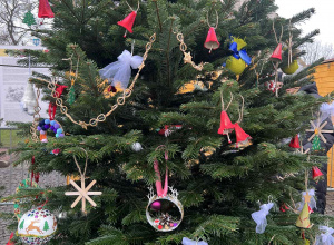 Ubieramy choinkę na Starym Rynku.