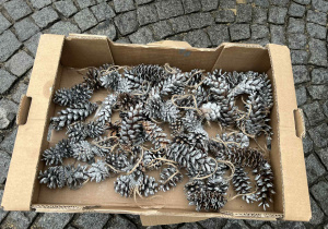 ubieranie choinki na Starym Rynku