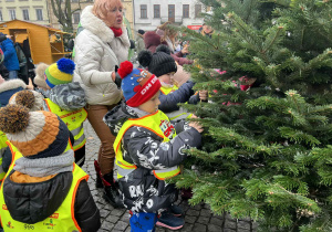 ubieranie choinki na Starym Rynku