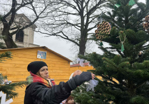 ubieranie choinki na Starym Rynku