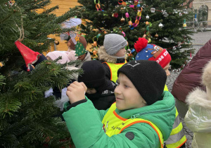 ubieranie choinki na Starym Rynku