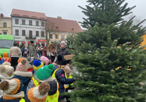 ubieranie choinki na Starym Rynku
