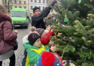ubieranie choinki na Starym Rynku