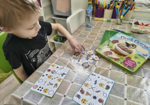 chłopiec dobiera odpowiednie obrazki