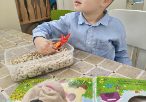 chłopiec odszukuje ukryte elementy