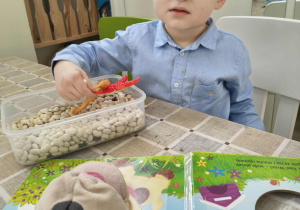 chłopiec odszukuje ukryte elementy