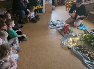 Druga Wielka Lekcja Montessori- Pojawienie się Życia Na Ziemi.