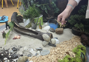 Dzieci słuchają opowieści i oglądają eksperymenty.