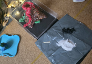 Dzieci słuchają opowieści i oglądają eksperymenty.