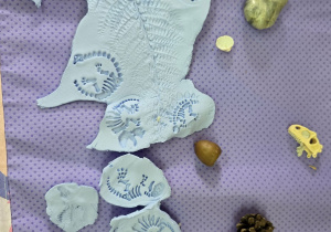 Skamieliny i szkielety.