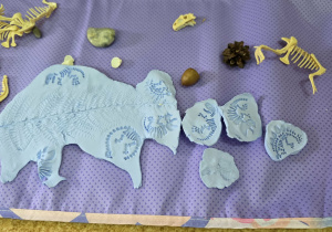 Skamieliny i szkielety.