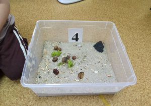 Dzieci przy stanowiskach paleontologicznych.